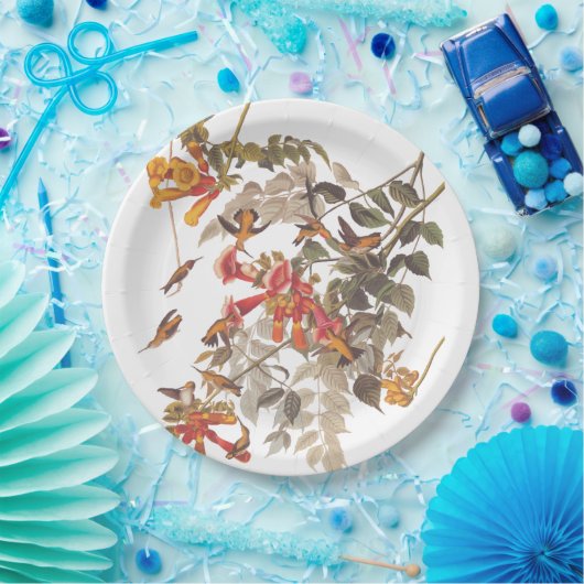 Audubon's Ruby Throated Hummingbirds and Blume Pappteller (Party)