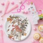 Audubon's Ruby Throated Hummingbirds and Blume Pappteller (Party)