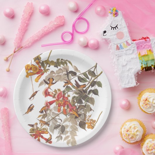 Audubon's Ruby Throated Hummingbirds and Blume Pappteller (Party)