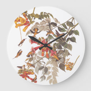 Audubon's Ruby Throated Hummingbirds with Flowers Große Wanduhr