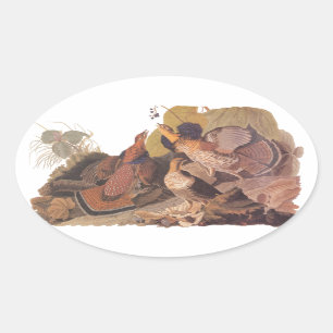 Audubon's Ruffed Grouse Ovaler Aufkleber