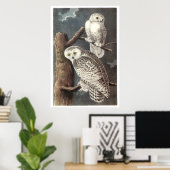 Audubon's Snowy Owl Poster (Heimbüro)