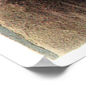 Audubon's Snowy Owl Poster (Ecke)