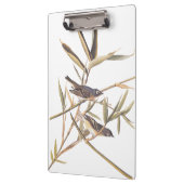 Audubons Solitary Vireo Flycatcher Birds on Cane Klemmbrett (Links)