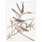 Audubons Solitary Vireo Flycatcher Birds on Cane Klemmbrett (Rückseite)