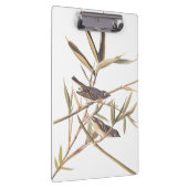 Audubons Solitary Vireo Flycatcher Birds on Cane Klemmbrett (Rechts)