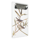 Audubons Solitary Vireo Flycatcher Birds on Cane Mini Klemmbrett (Schrägansicht)