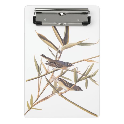 Audubons Solitary Vireo Flycatcher Birds on Cane Mini Klemmbrett (Vorderseite)