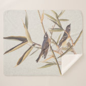 Audubons Solitary Vireo Flycatcher Birds on Cane Sherpadecke (Vorderseite (Horizontal))