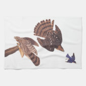 Audubon's Stanley's Hawks jagen einen blauen Vogel Geschirrtuch (Horizontal)