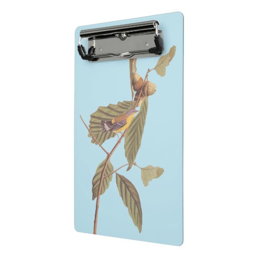 Audubon's Swainson's Warbler an der Oak Branch Mini Klemmbrett (Gewinkelt2)