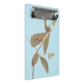 Audubon's Swainson's Warbler an der Oak Branch Mini Klemmbrett (Schrägansicht)