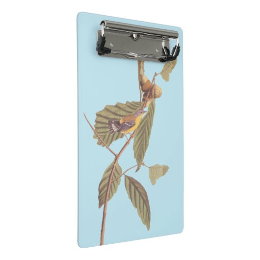 Audubon's Swainson's Warbler an der Oak Branch Mini Klemmbrett (Schrägansicht)
