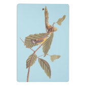 Audubon's Swainson's Warbler an der Oak Branch Mini Klemmbrett (Rückseite)