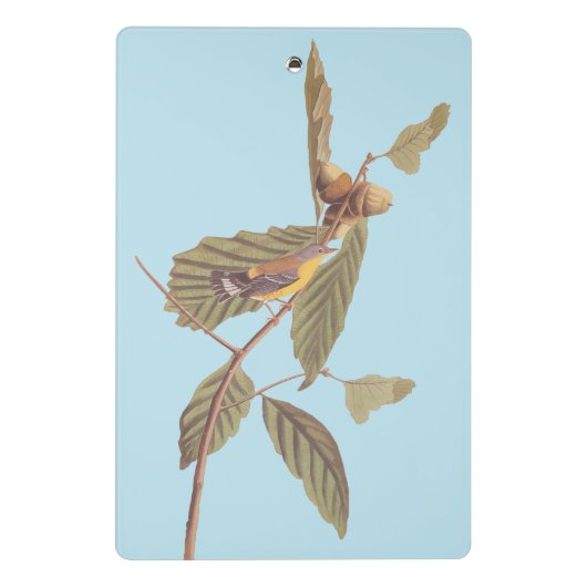 Audubon's Swainson's Warbler an der Oak Branch Mini Klemmbrett (Rückseite)