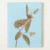 Audubon's Swainson's Warbler an der Oak Branch Planer (Rückseite)