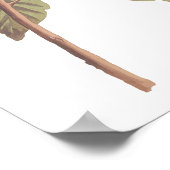 Audubon's Swainson's Warbler an der Oak Branch Poster (Ecke)