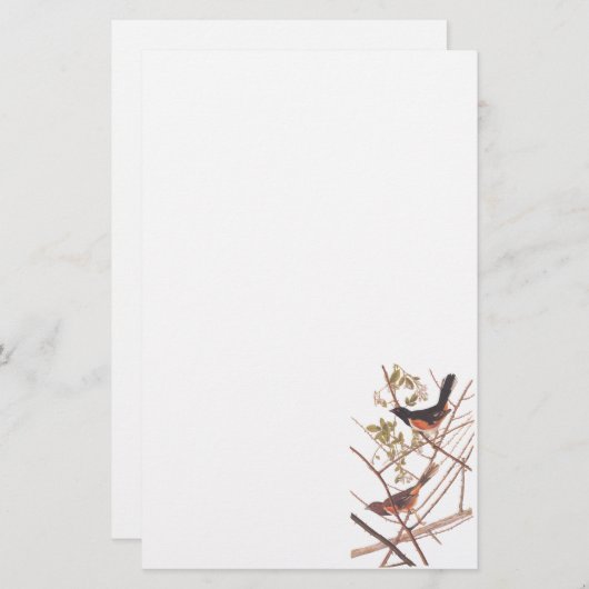 Audubon's Towee Bunting Briefpapier (Vorne/Hinten)
