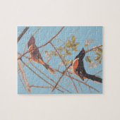 Audubon's Towee Bunting Puzzle (Horizontal)