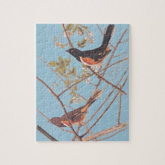Audubon's Towee Bunting Puzzle (Vertikal)