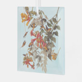 Audubons tropische Ruby-Throated Hummingbirds Ornament Aus Glas (Vorderseite links)