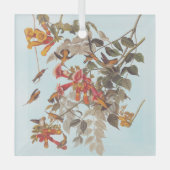 Audubons tropische Ruby-Throated Hummingbirds Ornament Aus Glas (Vorderseite)