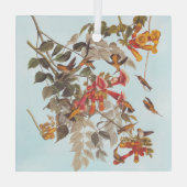 Audubons tropische Ruby-Throated Hummingbirds Ornament Aus Glas (Rückseite)