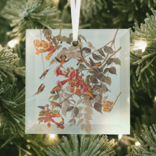 Audubons tropische Ruby-Throated Hummingbirds Ornament Aus Glas