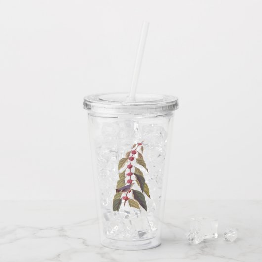 Audubons Vintager blaugrüner Warbler-Song-Vogel Acryltrinkbecher (Rückseite Ice)