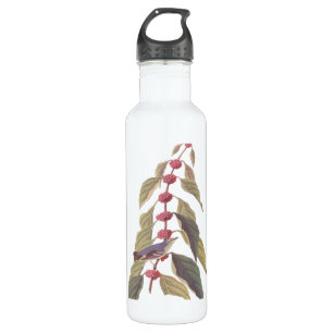 Audubons Vintager blaugrüner Warbler-Song-Vogel Edelstahlflasche