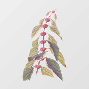 Audubons Vintager blaugrüner Warbler-Song-Vogel Fensteraufkleber