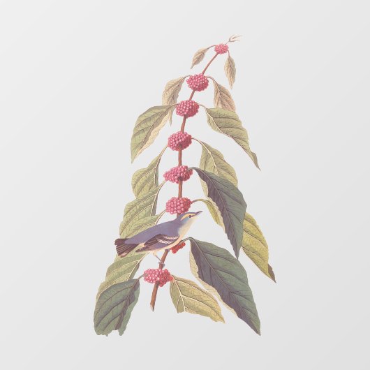 Audubons Vintager blaugrüner Warbler-Song-Vogel Fensteraufkleber (Blatt)