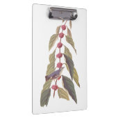 Audubons Vintager blaugrüner Warbler-Song-Vogel Klemmbrett (Rechts)