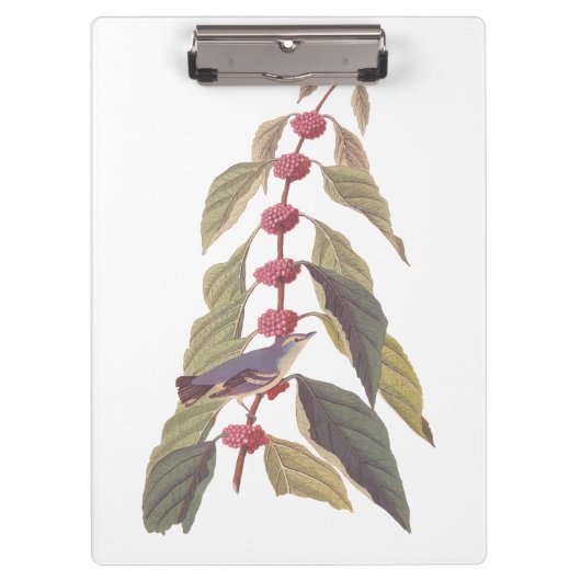 Audubons Vintager blaugrüner Warbler-Song-Vogel Klemmbrett (Vorderseite)