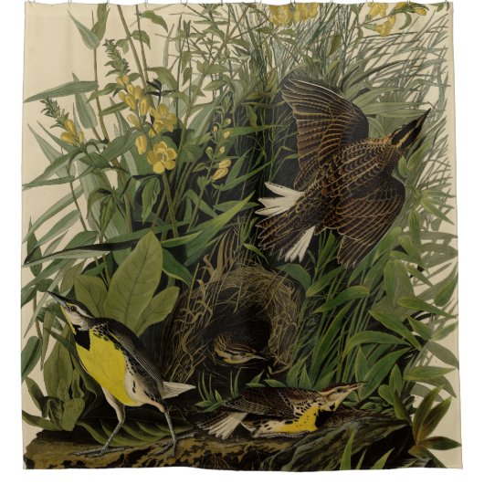 Audubons Vögel in Amerika Duschvorhang (Vorderseite)