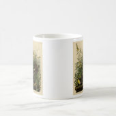 Audubons Vögel in Amerika Kaffeetasse (Mittel)