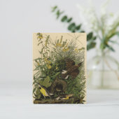 Audubons Vögel in Amerika Postkarte (Stehend Vorderseite)