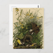 Audubons Vögel in Amerika Postkarte (Vorne/Hinten)