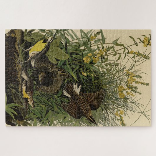 Audubons Vögel in Amerika Puzzle (Horizontal)