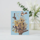Audubons Vogel Postkarte (Stehend Vorderseite)
