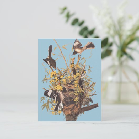 Audubons Vogel Postkarte (Stehend Vorderseite)