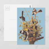 Audubons Vogel Postkarte (Vorne/Hinten)