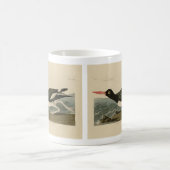 Audubons Vögel von Amerika Kaffeetasse (Mittel)