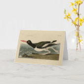Audubons Vögel von Amerika Karte (Gelbe Blume)