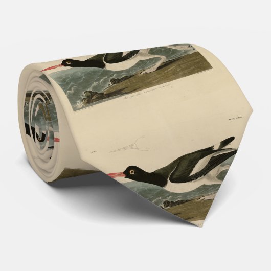 Audubons Vögel von Amerika Krawatte (Gerollt)