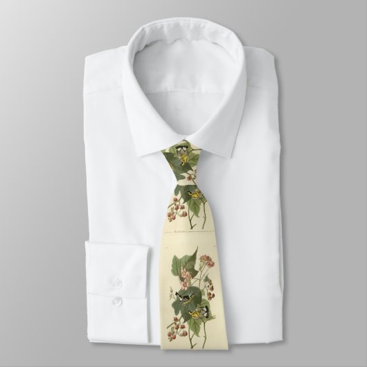 Audubons Vögel von Amerika Krawatte (Gebunden)