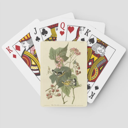 Audubons Vögel von Amerika Spielkarten (Rückseite)