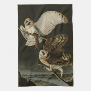 Audubons Vögel von Amerika (Tyto alba) Geschirrtuch