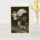 Audubons Vögel von Amerika (Tyto alba) Karte (Gelbe Blume)