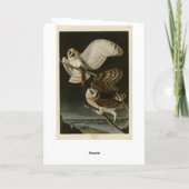 Audubons Vögel von Amerika (Tyto alba) Karte (Rückseite)